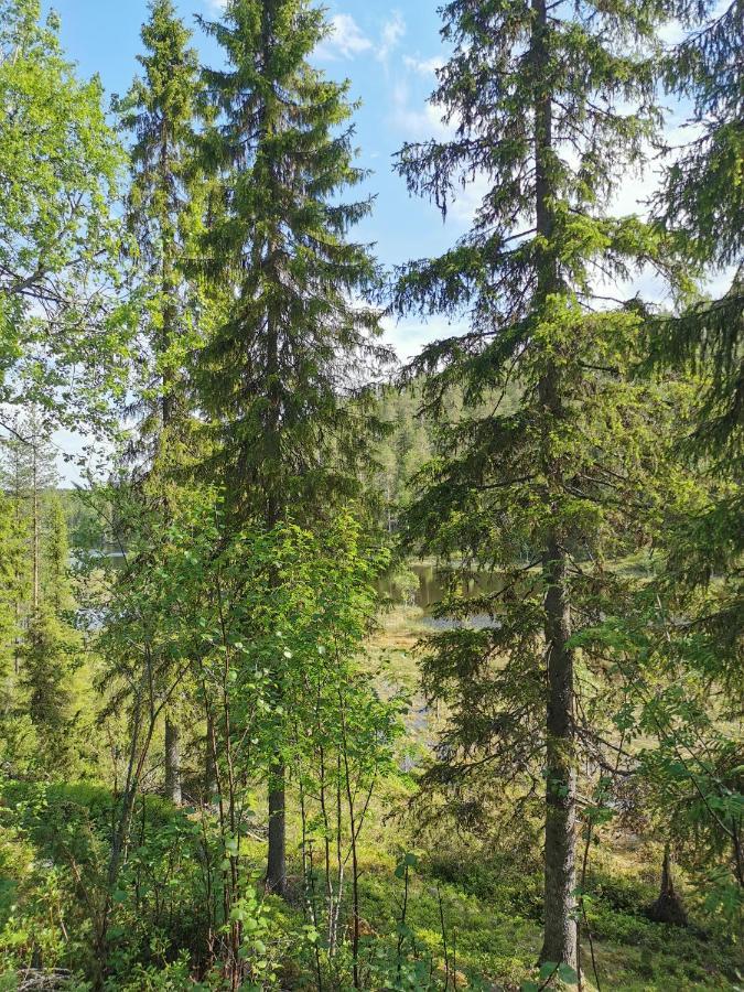 Salmikangas G4 Ruka Esterno foto